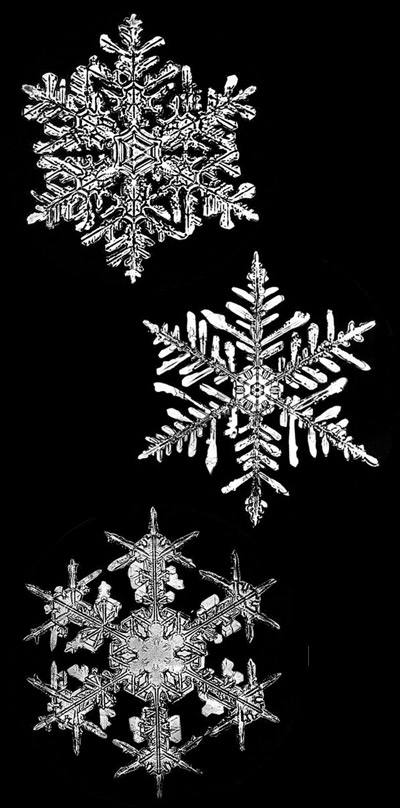 snowflake bentley feature
